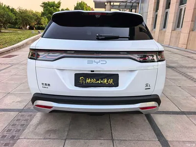 2025 BYD Song L DM-i Model Smart Drive Edition 112km Leading Type, фото 4, лот 10275566
