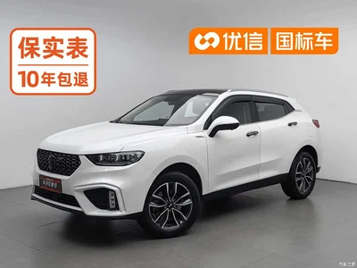 2020 WEY VV5 1.5T 2WD Smart Pioneer, фото 1, лот 11139405