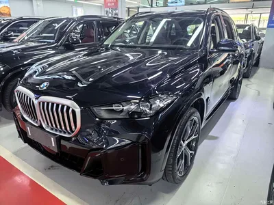 2023 BMW X5 xDrive 30Li Premium M Sport Package, фото 1, лот 10463170