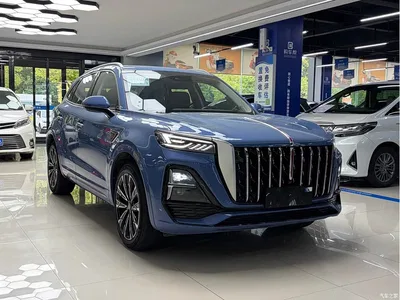 2023 Hongqi HS5 2.0T 4WD Flag Leader Pro, фото 3, лот 10289173