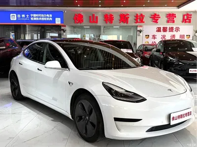 2020 Tesla Model 3 Standard Range Rear-Wheel Drive Upgrade, фото 2, лот 10353809