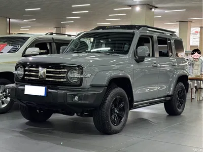 2023 Tank 300 Urban Edition 2.0T Very Stylish, фото 1, лот 10450322