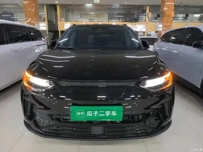 2023 Leapmotor C11 Pure Electric 500 Comfort Edition, фото 3, лот 10481536