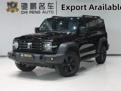 2023 Tank 300 Off-Road Edition 2.0T Conqueror, фото 1, лот 10344358