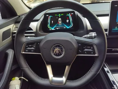 2019 BYD Qin Pro New Energy EV Super Edition Standard Smart Connect Leading Style, фото 3, лот 11088941