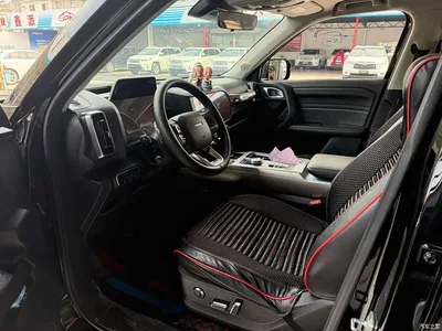 2024 Haval Big Dog 1.5T DCT Border Collie Edition, фото 4, лот 11449006