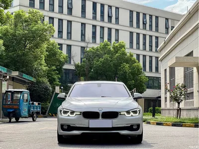 2016 BMW 3 Series 320Li Progressive, фото 2, лот 10899689