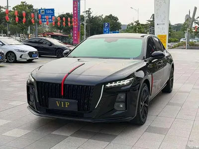 2025 Hongqi H5 2.0T Automatic Mystic Shadow, фото 1, лот 11087482