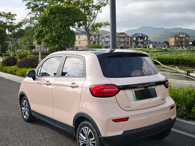 2024 Leapmotor T03 310 Comfort Edition, фото 4, лот 10445142