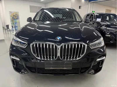 2022 BMW X5 Facelift xDrive 30Li M Sport Package, фото 1, лот 10764759