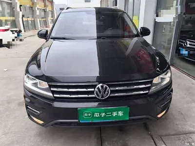 2019 Volkswagen Tiguan L 330TSI Automatic 2WD Smart Luxury Edition China VI, фото 3, лот 11180879