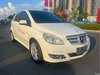 2009 Mercedes-Benz B-Class B 200 Luxury, фото 3, лот 10287539
