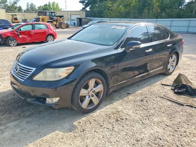 2010 LEXUS LS 460, фото 1, лот 10676068
