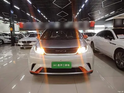 2021 BYD Dolphin Model 405km Fashion Edition, фото 3, лот 10259221