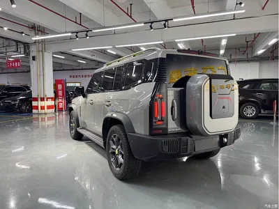 2023 Jetour Traveler Model 2.0T 4WD Cross PRO, фото 4, лот 10430016