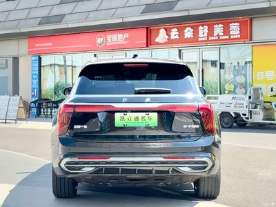 2022 Hongqi E-HS9 690km Qi Xiang Edition (6-seater), фото 4, лот 10307213
