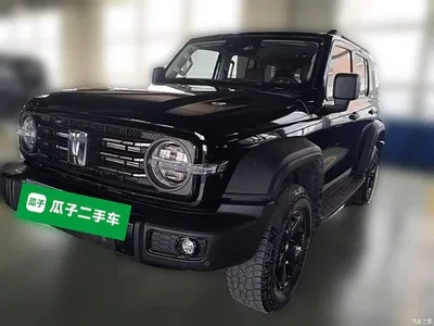 2025 Tank 300 2.0T Challenger, фото 3, лот 10345512