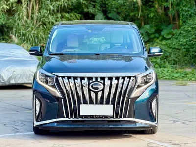 2023 GAC Trumpchi Trumpchi M8 Leading Series 390T Luxury Edition, фото 2, лот 10680176