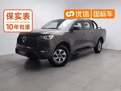 2021 Great Wall Pao 2.0T Commercial Edition Manual Diesel 2WD Elite Long Box GW4D20M, фото 1, лот 10769313