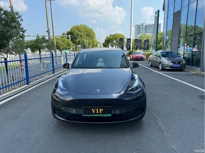 2024 Tesla Model Y Rear-Wheel Drive Version, фото 2, лот 11227901