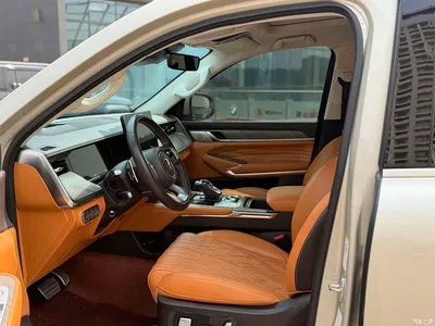 2022 Tank 500 3.0T Business Edition Zaojing 5-Seater, фото 3, лот 10346715