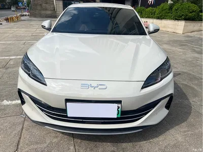 2024 BYD Seal 06 New Energy DM-i 80KM Prestige, фото 2, лот 11202988