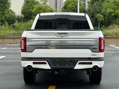 2019 Ford F-150 Raptor 3.5T LTD, фото 4, лот 10297107