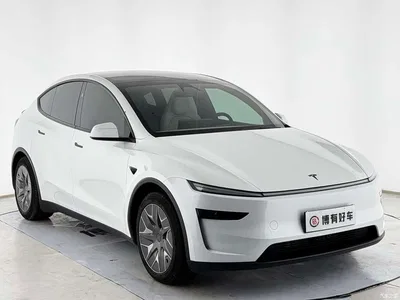 2025 Tesla Model Y L, фото 3, лот 10813074