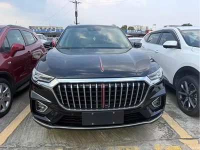 2019 Hongqi HS5 2.0T Smart Connect Enjoy 4WD Edition, фото 3, лот 10288480