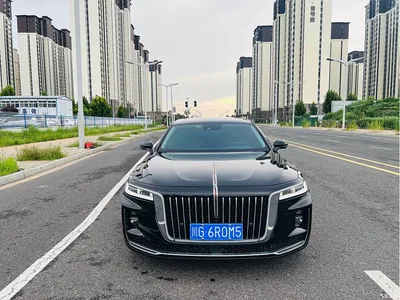 2022 Hongqi H9 2.0T Smart Connect Flag Smooth Edition, фото 2, лот 10287101