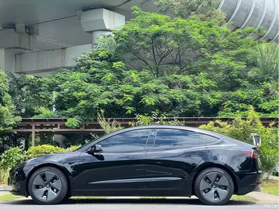 2022 Tesla Model 3 Model Rear-Wheel Drive Version, фото 4, лот 10351048