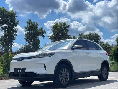 2020 Weltmeister EX5 400 Jike Travel Edition, фото 1, лот 10301562