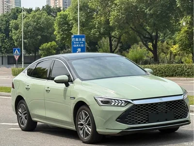 2023 BYD Qin PLUS Champion Edition DM-i 120KM Surpassing Type, фото 3, лот 10813233