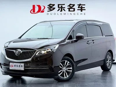 2017 Buick GL8 ES 28T Luxury China V, фото 1, лот 10894991