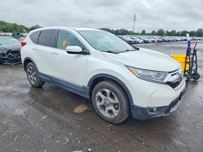 2019 HONDA CR-V EX, фото 4, лот 11305183
