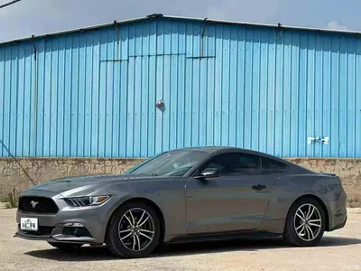 2017 Ford Mustang 2.3T Performance Edition, фото 1, лот 10417155