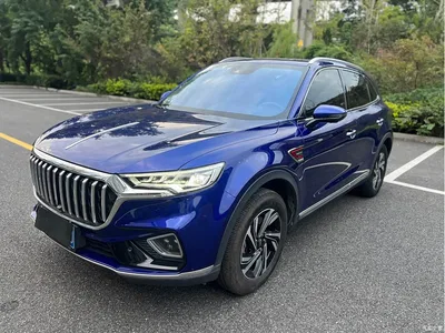 2019 Hongqi HS5 2.0T Smart Connect Enjoy Edition, фото 1, лот 10689862