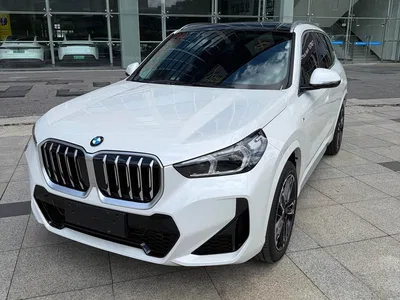 2025 BMW X1 sDrive25Li M Sport Package, фото 3, лот 10465558