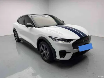 2021 Ford Mustang Mach-E Leap World RWD (Standard Range), фото 4, лот 10281269