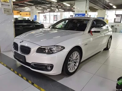 2017 BMW 5 Series 525Li Luxury Design Package, фото 2, лот 11017961