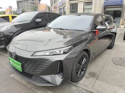 2023 Changan Yida Blue Whale NE 1.5T GDI DCT Enjoyment Edition, фото 2, лот 10255925