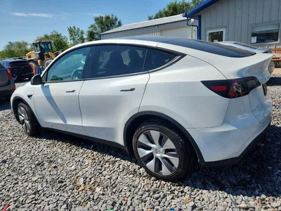 2024 TESLA MODEL Y, фото 2, лот 10677743