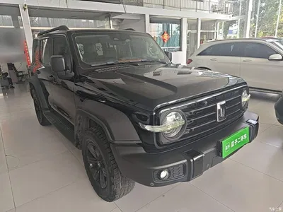 2021 Tank 300 Off-road Edition 2.0T Challenger, фото 4, лот 10389559