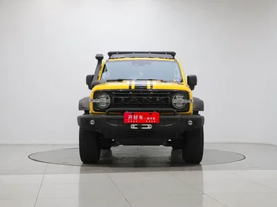 2022 Tank 300 2.0T Border Limited Edition, фото 2, лот 10344205