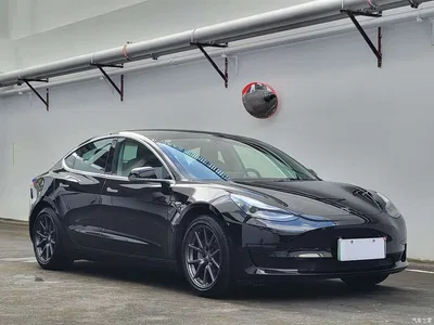 2020 Tesla Model 3 Standard Range Rear-Wheel Drive Upgrade, фото 3, лот 10355093