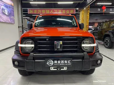 2021 Tank 300 Off-road Version 2.0T Conqueror, фото 2, лот 10450082