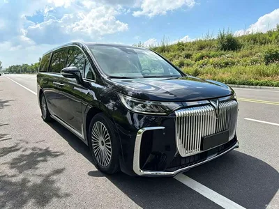 2025 Voyah Auto Voyah Dreamer PHEV 4WD Kunpeng Premium Edition, фото 2, лот 10819422