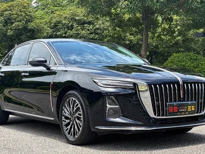 2025 Hongqi H5 2.0T Automatic Flag Celebration 500,000 Units Anniversary Edition, фото 3, лот 10304114