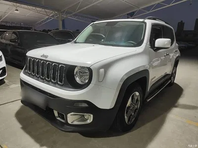 2016 Jeep Renegade 1.4T Automatic Kinetic Edition, фото 1, лот 11549896