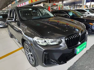 2022 BMW X3 xDrive30i Leading M Night Package, фото 4, лот 10461934